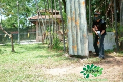 paintball-11