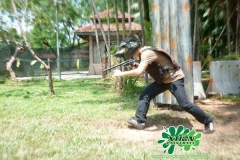 paintball-14