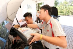 shell-8